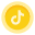 Coin Icon